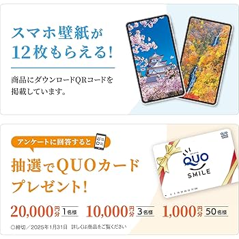 man  CD DVD 雑誌 写真 カレンダー その他 まとめ売り Amazon.co.jp: 写真工房カレンダー | JAPAN 2025 カレンダー